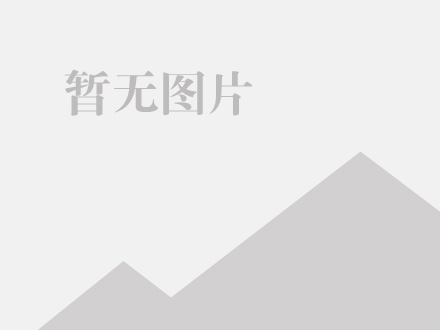 N-TGD系列胶带斗式提升机